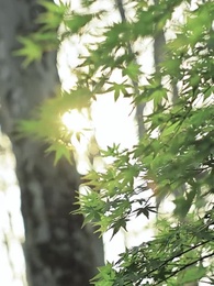 第59集 - 紅妝盡頭，幸有歸途