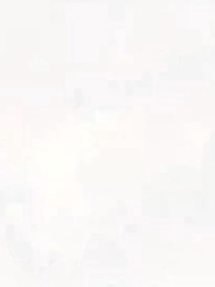 第16集 - 兇獸遍地你管他叫護林員2