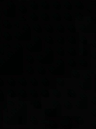 Episodio 41 - Mi Oruga Verde Es Bestia Legendaria