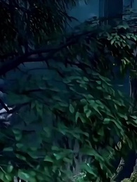 第45集 - 重生爲蛇，幹飯就變強