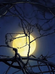 Episodio 9 - El vagabundo que se volvió mi