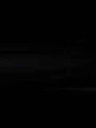 Episodio 40 - [Doblado]Su Alteza, Sistema Tycoon a su servicio