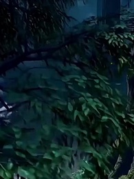 Episodio 45 - Reencarnado En Serpiente: ¡Devorar!