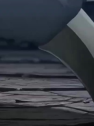 第33集 - 御獸:都進化那我返祖