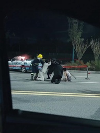 Серия 23 - Прошлого не вернуть