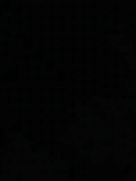 第41集 - 御獸:都進化那我返祖