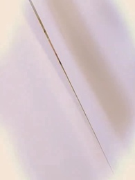 Tập 23 - Trở Về Thập Niên 70