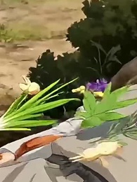 第76集 - 女帝:苟在深山，女兒將我吹成神