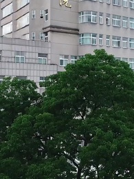 第58話 - 財産ゼロで離婚させられた私、真の権力者として覚醒する