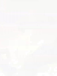 Un Guardabosques Entre Fieras - Episode 16