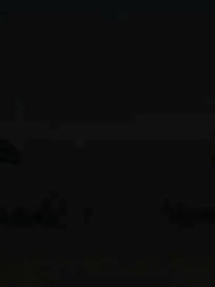 Mi Oruga Verde Es Bestia Legendaria - Episode 63