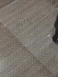 [吹替]我は仙術師なり - Episode 47