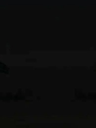 第63集 - 御獸:都進化那我返祖