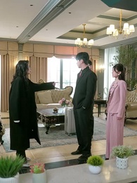 破繭成蝶始見天 - Episode 56