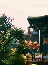 Episódio 38 - Helena e o Destino do Cordeiro