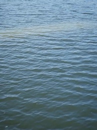 Renací pez, soy un dios - Episode 68