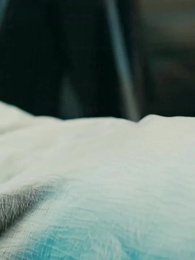 Episódio 42 - Helena e o Destino do Cordeiro