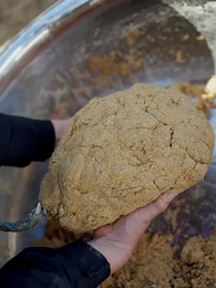 Renací pez, soy un dios - Episode 41