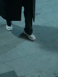 第54集 - 破繭成蝶始見天