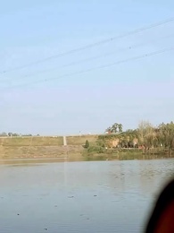 重生成魚氣哭釣魚佬 - Episode 63