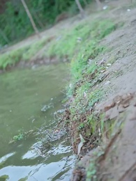 重生成魚氣哭釣魚佬 - Episode 31