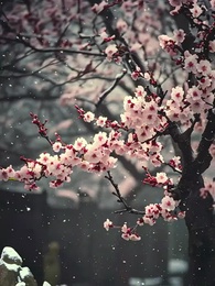 Episódio 18 - Helena e o Destino do Cordeiro