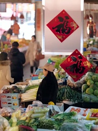 十載孤年,一朝覺醒 - Episode 1