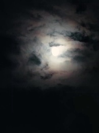 Episodio 21 - [Doppiato] Verso il Regno Perduto