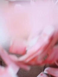 Hidden Fortune - Episode 11