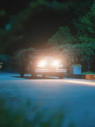 Cuore di Salice - Episode 46