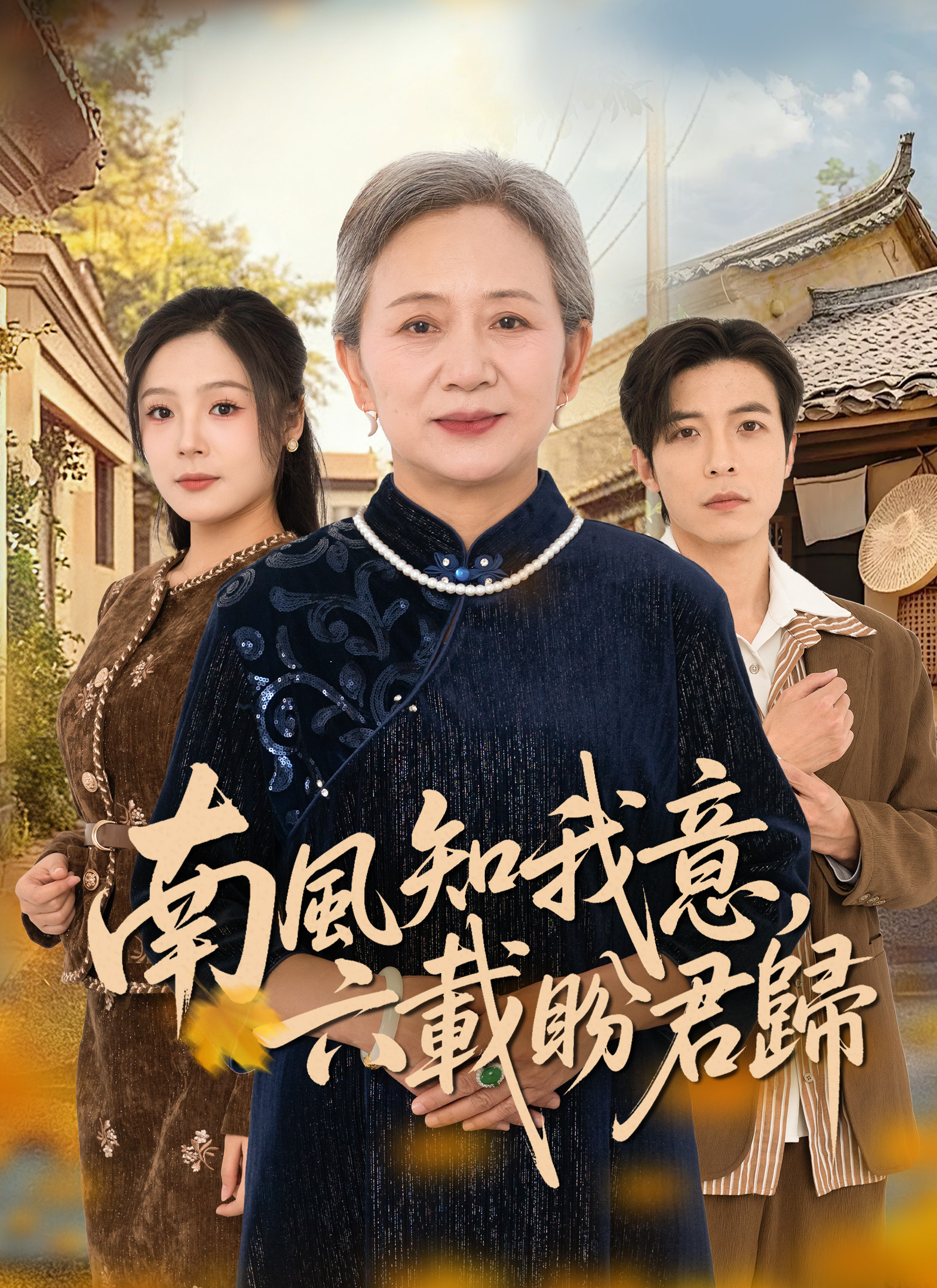 《南風知我意，六載盼君歸》封面