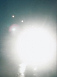 Episodio 6 - Cuore di Salice