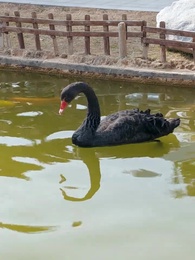 十載孤年,一朝覺醒 - Episode 16