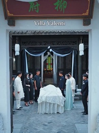 Episodio 36 - Cuore di Salice