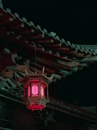 56화 - 양과 난초: 붉게 피어난 복수