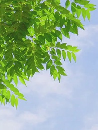 [Doppiato] Verso il Regno Perduto - Episode 49