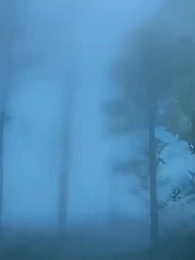 第33話 - 学園のアイドルにキスしたら、報酬が億越えのゲームコインだった件