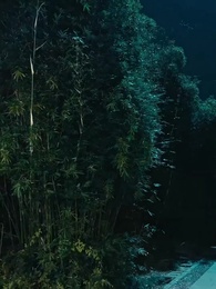 Episodio 53 - Renacer De Las Llamas