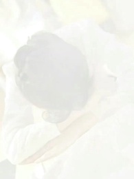 Il Prezzo della Falsità - Episode 1