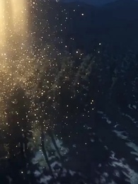 Tập 4 - Vạn Thú Tranh Đấu