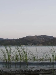 Episódio 1 - [Dublado]Meu Ex Mágico: Entre Presas e Garras