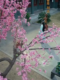 두 번의 삶 달라진 선택 - Episode 56