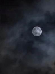 第1話 - まさか私が大悪役を救うなんて