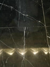 Sieben Tage bis zur Abrechnung - Episode 15