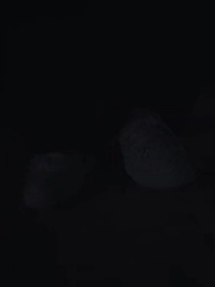 Episode 31 - Kakak, Aku Akan Berjuang