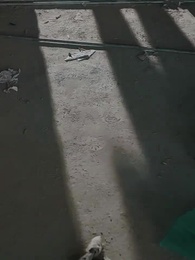 ตอนที่ 23 - คุณหนูตัวร้าย ทวงชะตาพันล้าน