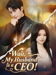 Wait, My Husband is a CEO! poster