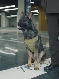 [Dubbed]Betrayed? I'm Still The Boss - Episode 19