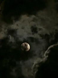 Épisode 1 - Après la prison, ma vengeance est déchaînée