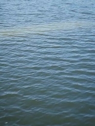 Episode 68 - Reincarnated as a Fish to Get Revenge